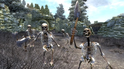 Kolejne spekulacje na temat Elder Scrolls MMO