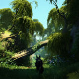 Urocza gra niezależna Lost Ember pozwoli wcielić się w różne zwierzęta - zobacz zwiastun