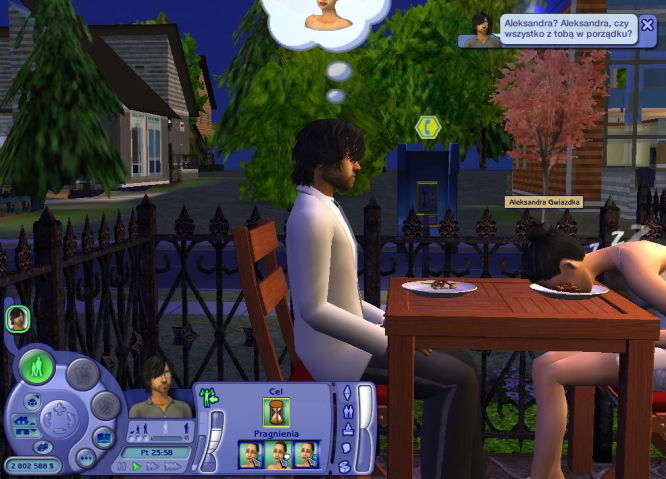 The Sims; Historie z życia wzięte -  oczami Domi i Grimnira