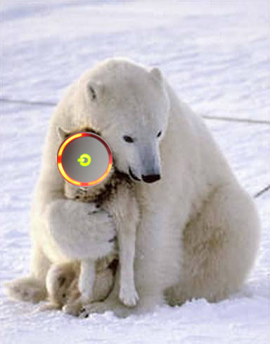 Według Robbiego Bacha, nabywcy Xboksa 360 wybaczyli MS-owi RRoD-a