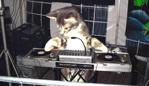 DJ Hero - pierwsze szczegóły?