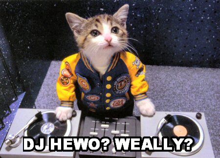 DJ Hero potwierdzone, wokal do piosenek graczy w przyszłości