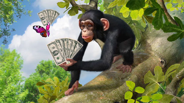 Zoo Tycoon na X360/XBone wspomoże prawdziwe zwierzątka prawdziwymi pieniędzmi