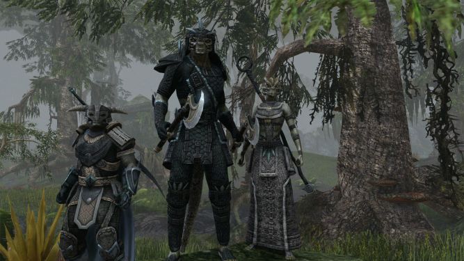 Tworzenie postaci w The Elder Scrolls Online - zajęcie na całe godziny