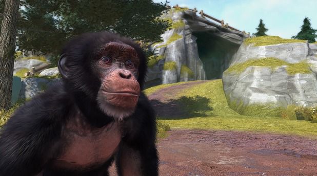 Wersja demonstracyjna Zoo Tycoon na Xbox 360 dostępna
