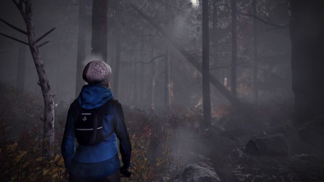 Through the Woods - norweski horror psychologiczny doczekał się dema