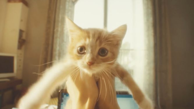 Słodki kociak bohaterem trailera Gravity Rush 2