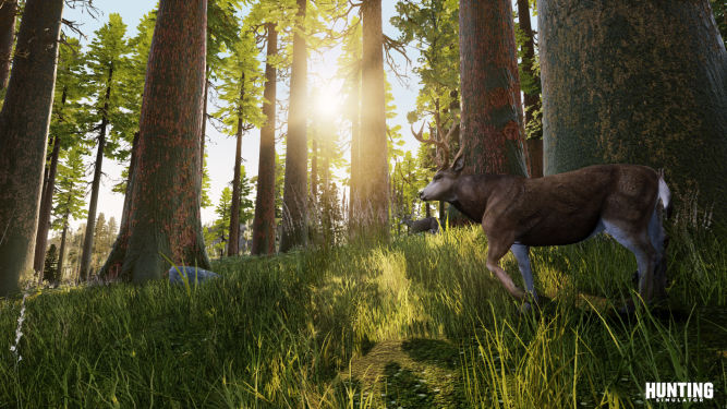 Twórcy Hunting Simulator przedstawiają różne gatunki zwierząt na nowym zwiastunie
