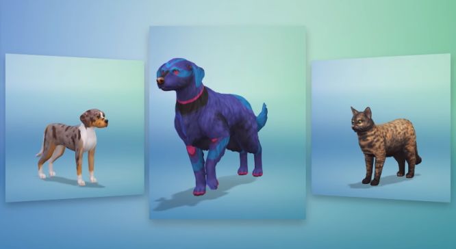 The Sims 4 - zobacz gameplay z dodatku Psy i koty