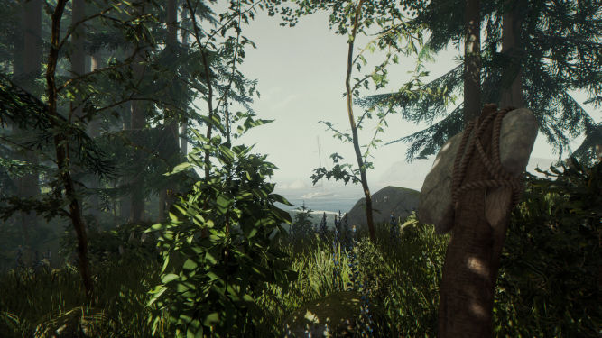 The Forest z datą premiery na PC
