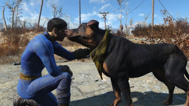 Dzięki tej modyfikacji możesz teraz do woli głaskać psy w Fallout 4